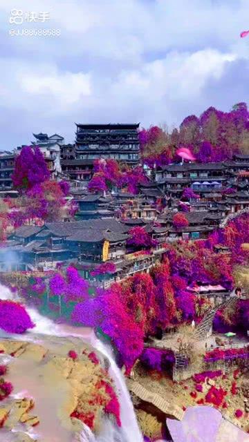 为留守老人撑起一片“繁花”