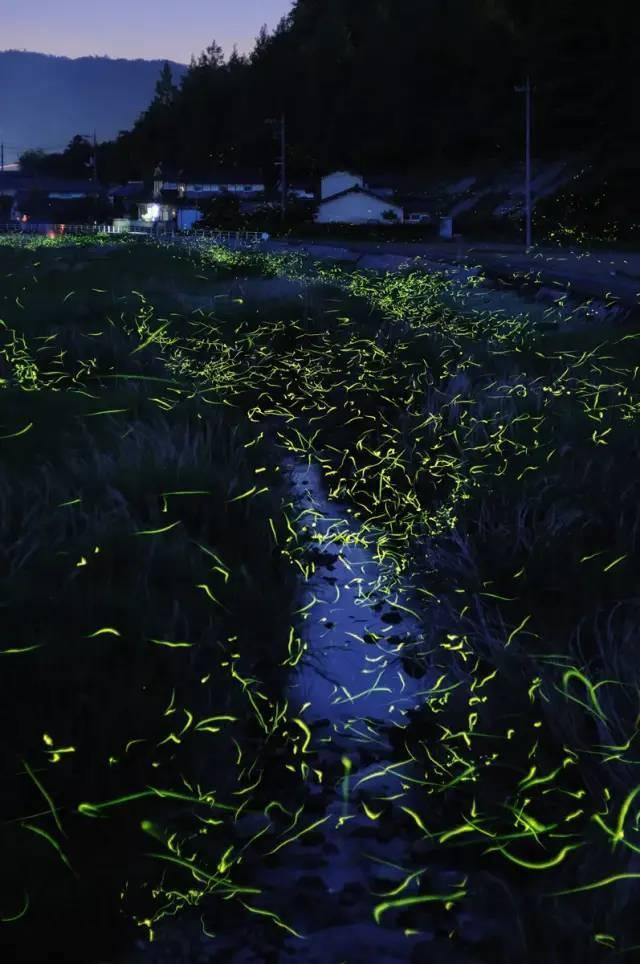 大数据背景下计算机科学与技术的应用探讨
