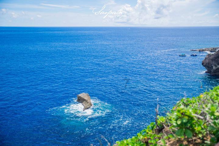 泡沫森林