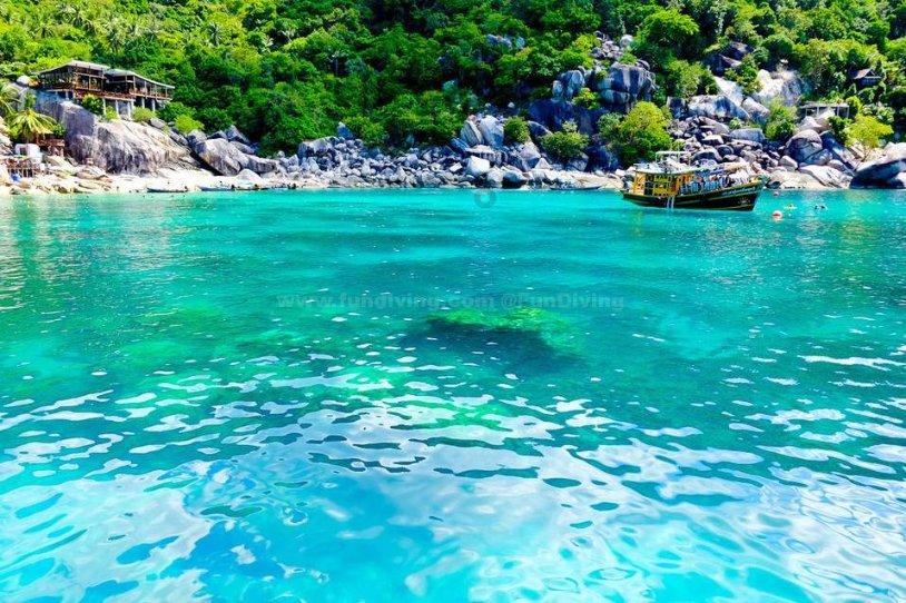 “种草”海南，米卡来了～