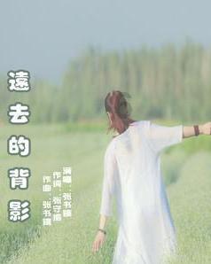 既要精准打击集资犯罪 也要持续加强合规治理