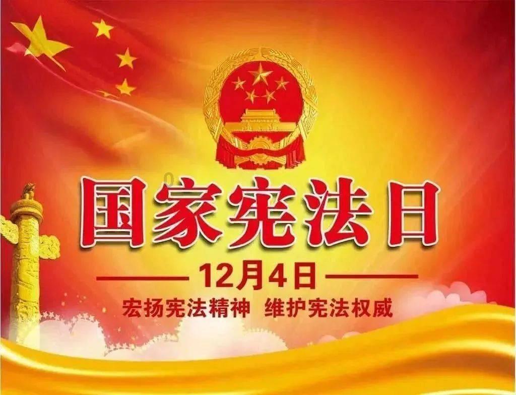 番茄免费小说已下载的书能导出吗