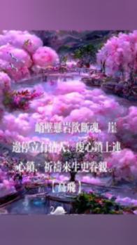 创作猫